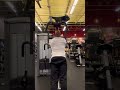 Rear Delt Machine Nevagoingback Style