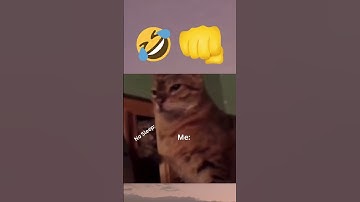 👊Sleep deprivation creeping up like… #dailymemes #catmemes