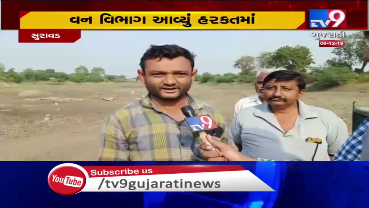 Shoot-at-sight order issued for Man Eater leopard in Amreli's Bagasara | TV9GujaratiNews