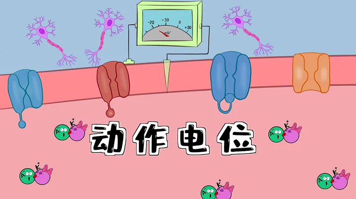 醫學漫畫 | 細胞的動作電位、興奮性和麻醉藥 Neuron action potential - physiology - 天天要聞