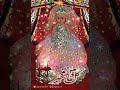 عروسة المولد
