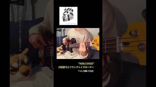 NORA DOGS / 小原綾斗とフランチャイズオーナー #ベース弾いてみた #bass #guitar #cover #tempalay #小原綾斗