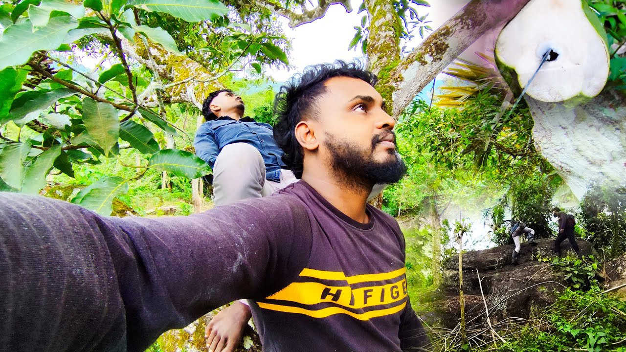 24 Hours Forest Survival | Finding Food in the Wild | Asian Wild Harvest