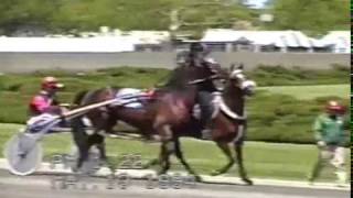 The Racetrack Years