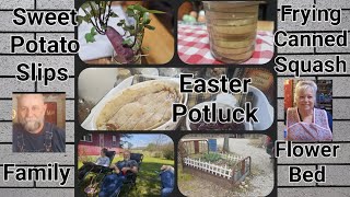 What I made for Easter Potluck / Growing Potato slips / frying Canned Squash/Family