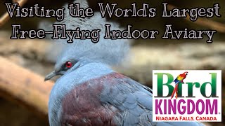 Bird Kingdom Walkthrough Highlights | Things to do in Niagara Falls Canada   HD