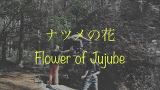 [瑞牆ボルダーの易しいの2] ナツメの花 の記録 Natsume no Hana in Mizugaki Boulder