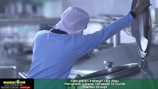 Penghasil Kelapa Terbesar di Dunia Kab Inhil Riau