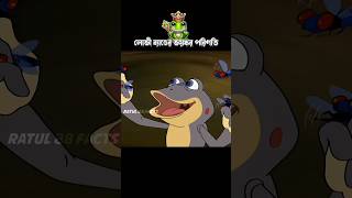 লোভী ব্যাঙের ভয়ঙ্কর পরিণতি #3danimation #cartoon