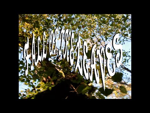 Club Casualties - Fall Of The Leaves (Official Music Video)