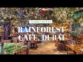 Rainforest cafe dubai  walkthrough tour