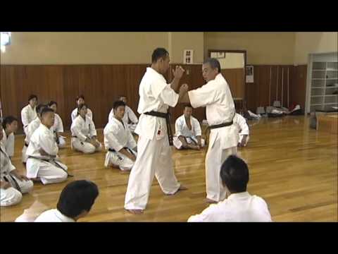 剛柔流空手道型古伝の裏分解セミナー5 スーパーリンペイkaratedo - YouTube