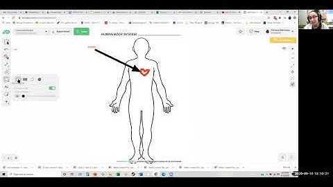 How to Use A Web Whiteboard App (AWWapp)