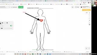 How to Use A Web Whiteboard App (AWWapp)