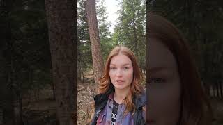 Don't miss this hunting property