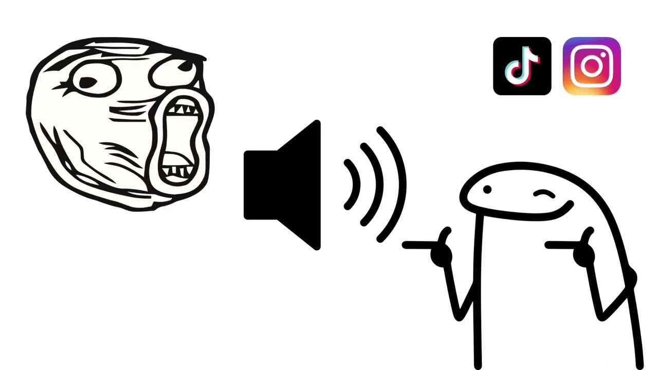 Ladies and gentleman's WE GOT HIM reaction funny prank meme trend sound effect (HD)