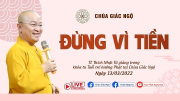 ĐỪNG VÌ TIỀN - TT. THÍCH NHẬT TỪ - Pháp thoại mới nhất dành cho tuổi trẻ lập nghiệp