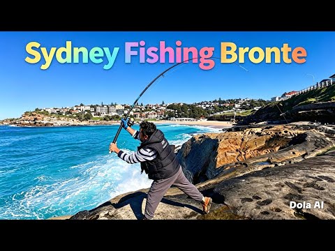 Sydney rock fishing ￼