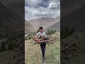 Mountain boy collecting wood for fire  mountain boy wood survival pasture pakistan india