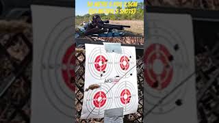 Huğlu Effecto Px5 Pro 50 Metre 2.5Cm Grup Airgun 50 Meters Group İn 2.5Cm