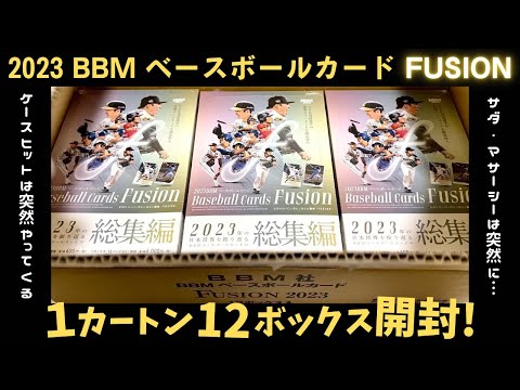 【1カートン﻿12ボックス開封！】BBM 2023 ベースボールカード フュージョン FUSION BASEBALL CARDS BOX CASE BREAK