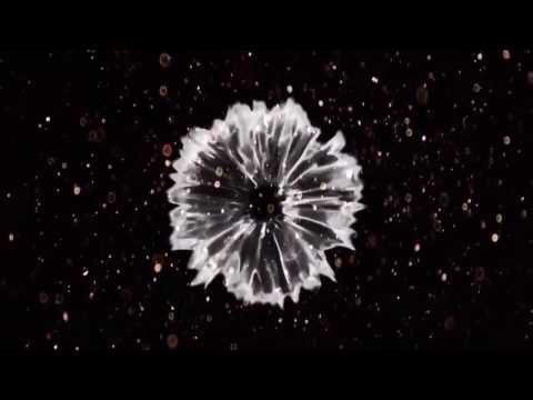 უნიკალური აღმოჩენა სენაკში მღვიმე \"გაგიას წკვარამი\"