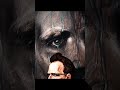"Nietzsche's Profound Warning: The Abyss and the Monsters Within"