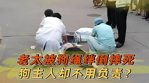 广东佛山真实影像，88岁老太被狗绳绊倒，狗主人却说与我无关？ - 天天要闻