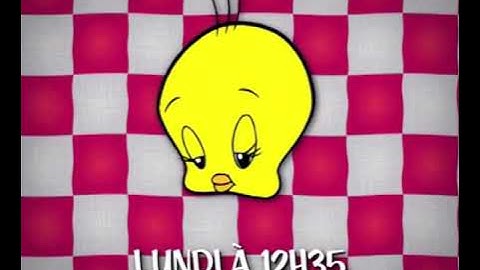 Boomerang France - Sylvester and Tweety Mysteries new episodes promo