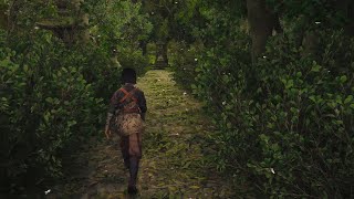 Assassin's Creed Shadows Hideout Tour - Lost In The Woods
