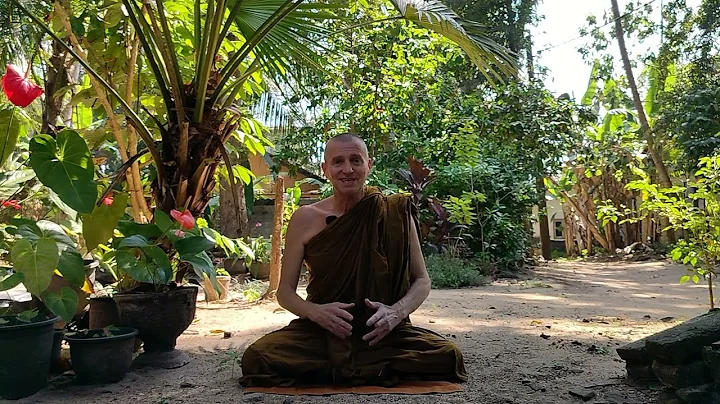 STAGES of ENLIGHTENMENT