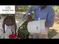 Queen Bmzazhi Karu partners with Suki222 to deliver clean water to her home nation of Haiti.