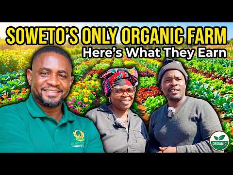 This Couple Built the Only Certified Organic Farm in Soweto — Here's What They Earn