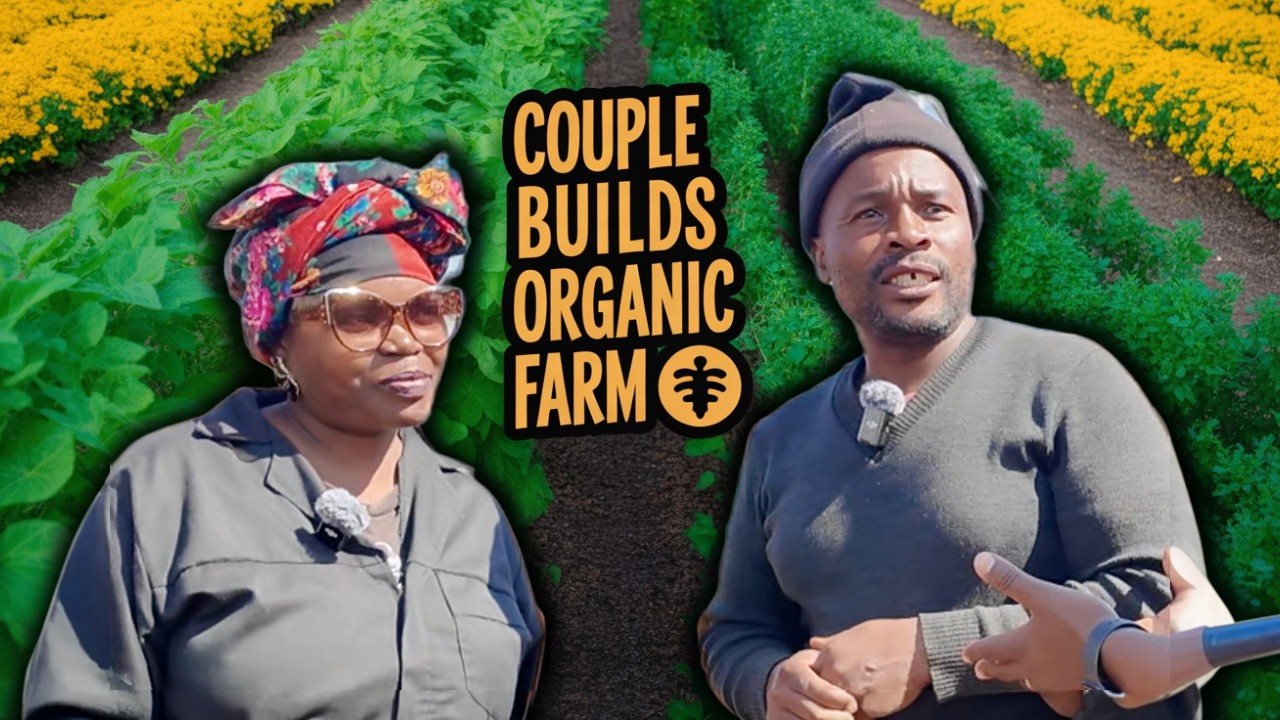 Пара выращивает овощи и разводит кроликов в Южной Африке 🇿🇦