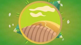 Nature's Morsels Macadamia Nuts