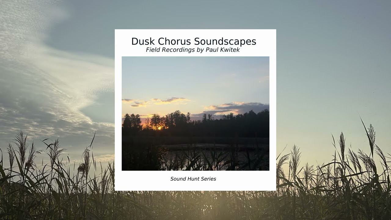 The Dusk Chorus Soundscape Album - Relaxing Nature sounds