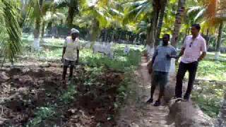 Fun - Software Engg - Agriculture