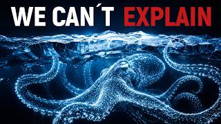 Nothing About This Shapeshifting Alien Belongs On Earth. And It Is Real.