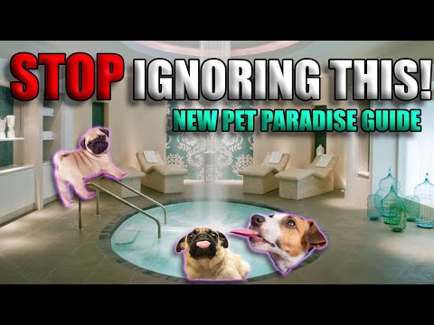 Uncover The Mystery Is Your Pet Paradise Open On New Years Day