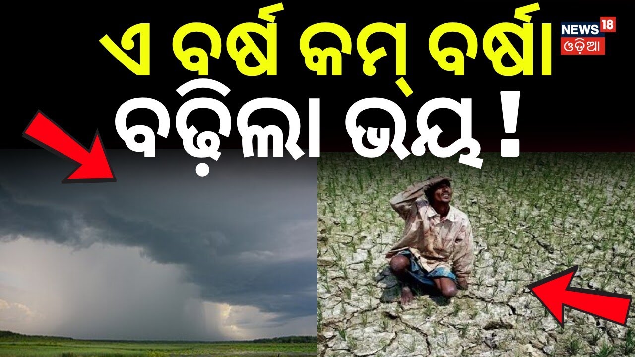 ବଡ଼ ଆକଳନ ଏ ବର୍ଷ...India Monsoon 2026: IMD Predicts Low Rainfall | Odisha Weather Update | Odia News