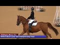 British Young Horse Showjumping Championships British Bred 6YO Final - Sunday 20th August 2017