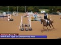 British Young Horse Showjumping Championships British Bred 6YO Final - Sunday 20th August 2017