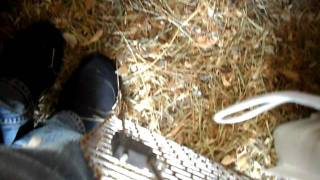 SAM_0944.AVI