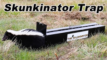 The SKUNKINATOR Skunk Trap - How To Catch Skunks Without Getting Sprayed. Mousetrap Monday.