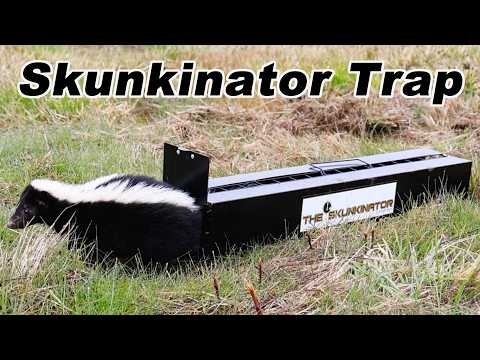 The SKUNKINATOR Skunk Trap - How To Catch Skunks Without Getting Sprayed. Mousetrap Monday.