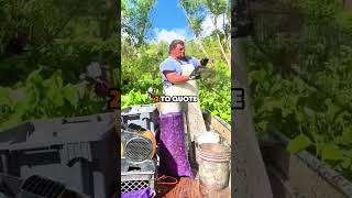 What Made The Popular Kid Lose Their Popularity