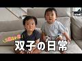 【双子Vlog】1歳2ヶ月の日常をじっくり観察してみた