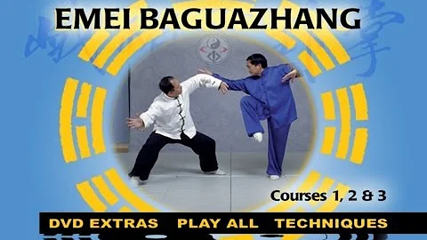 Baguazhang (YMAA Eight Trigrams Palm Kung Fu) Lian...