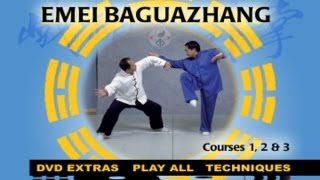 Baguazhang (YMAA Eight Trigrams Palm Kung Fu) Liang, Shou-Yu screenshot 5