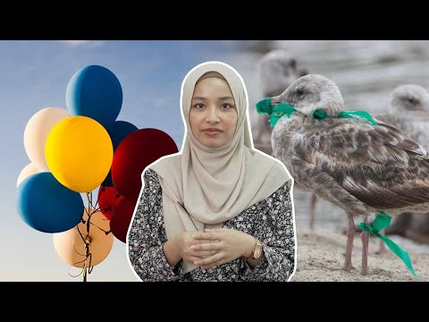 Video: Di Manakah Belon Terbang